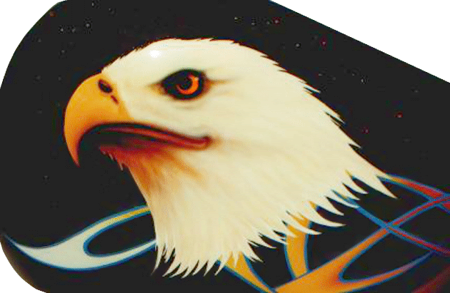 Airbrushed Eagle, flames, metalflake close-up